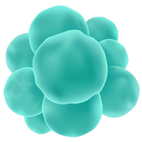 Virus 2
